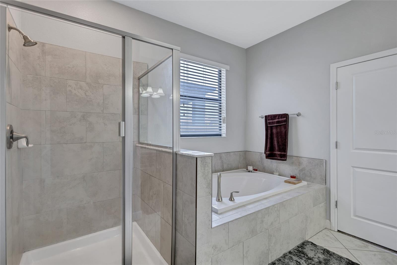 10916 GREAT CORMORANT DR, RIVERVIEW, FL, 33579