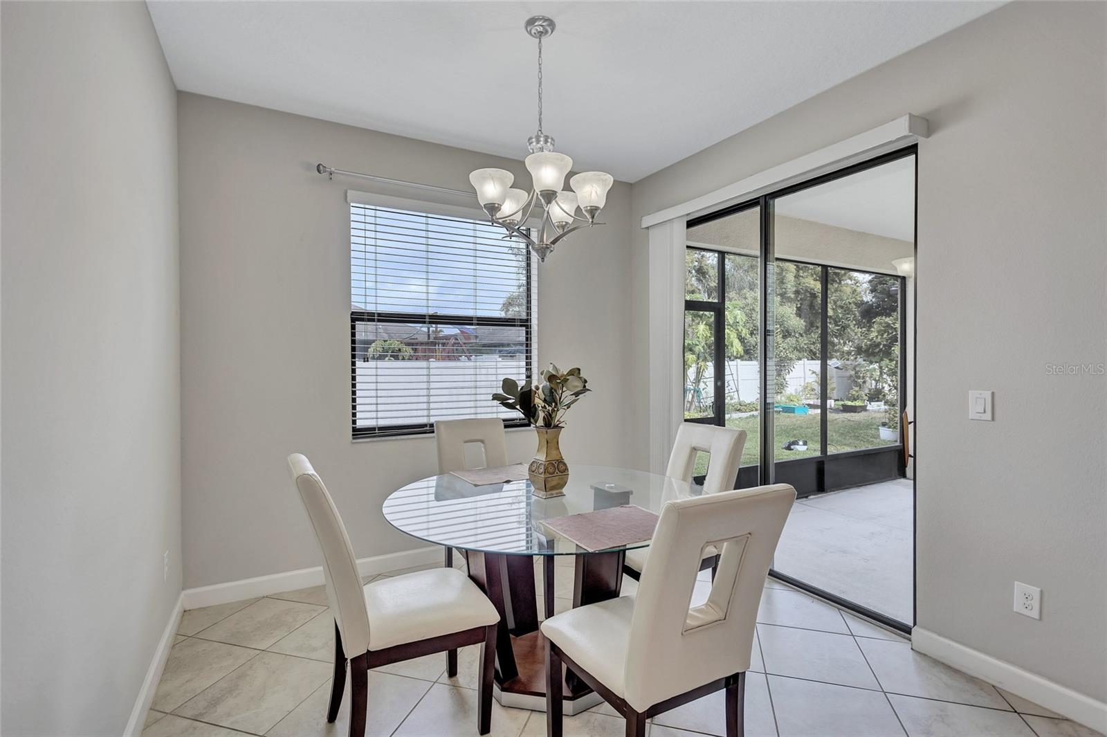 10916 GREAT CORMORANT DR, RIVERVIEW, FL, 33579