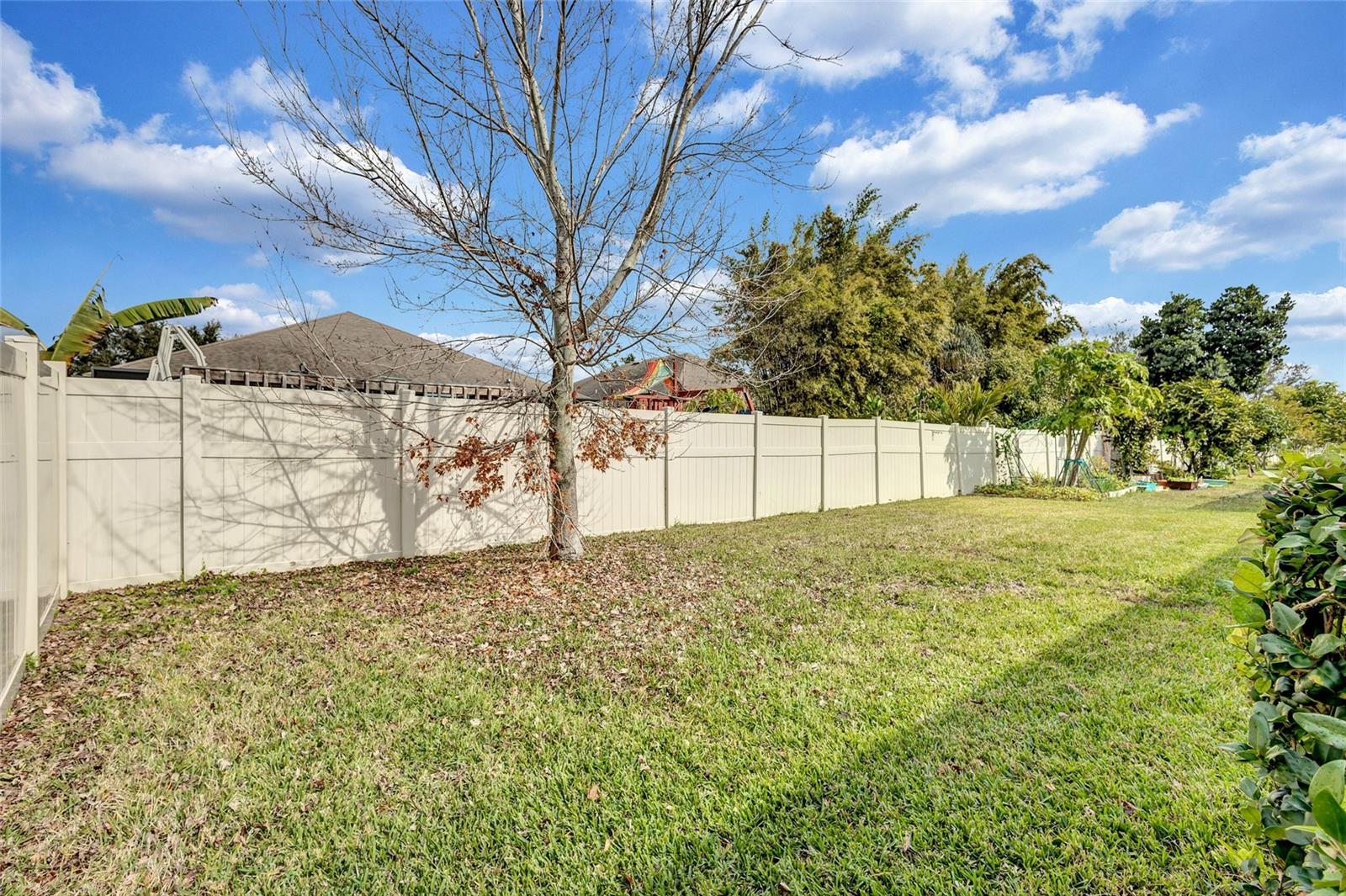 10916 GREAT CORMORANT DR, RIVERVIEW, FL, 33579