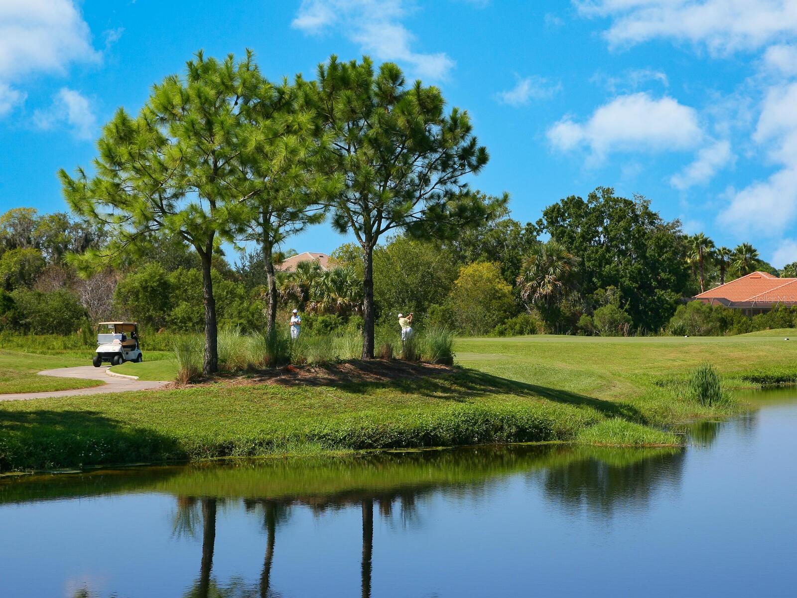 17459 HICKOK BELT LOOP, BRADENTON, FL, 34211
