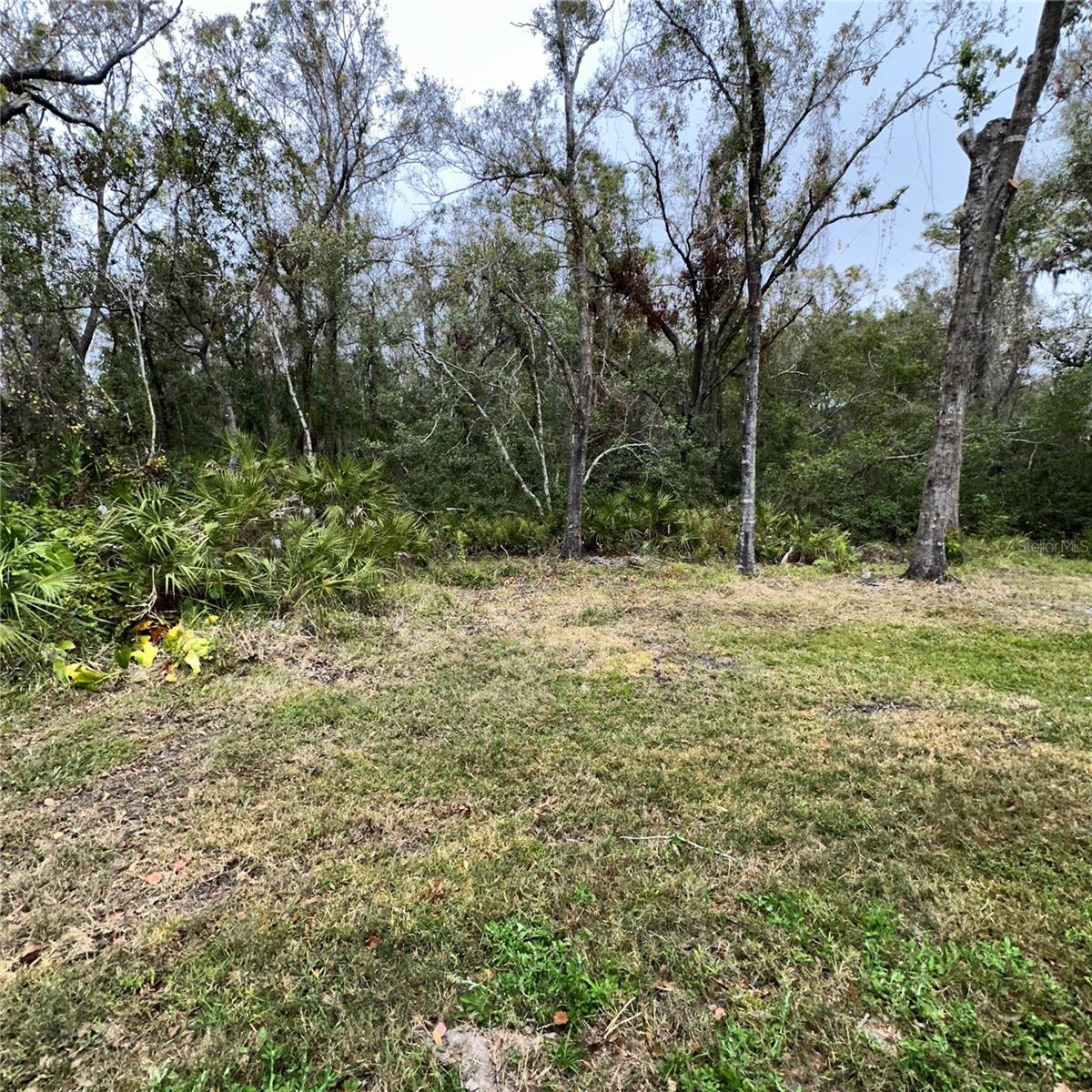 1707 MAGNOLIA LANDINGS CT, SUN CITY CENTER, FL, 33573