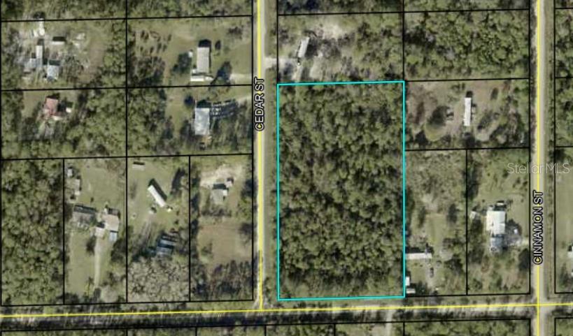 1143 CEDAR ST, BUNNELL, FL, 32110