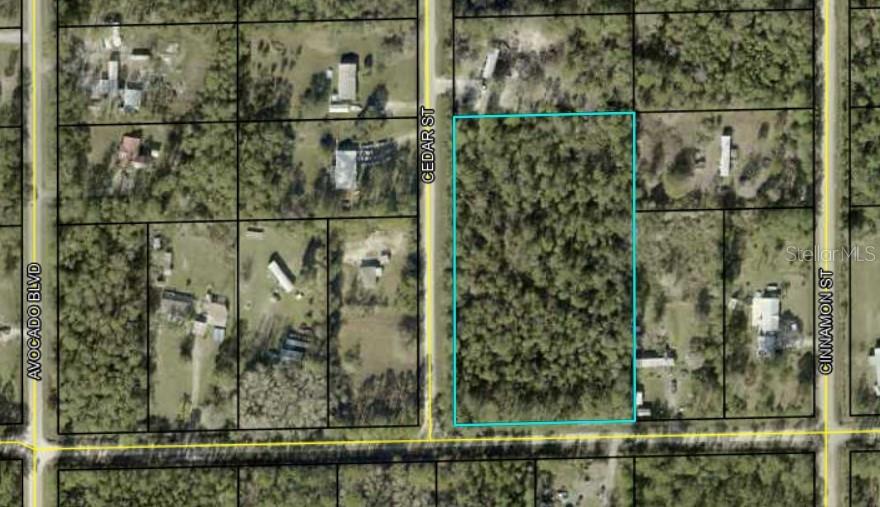 1143 CEDAR ST, BUNNELL, FL, 32110