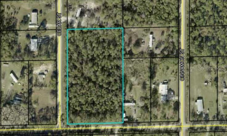 1143 CEDAR ST, BUNNELL, FL, 32110