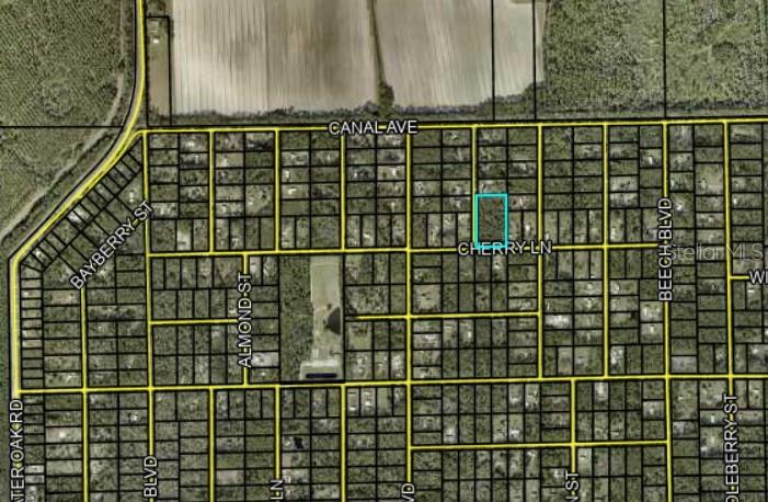 1143 CEDAR ST, BUNNELL, FL, 32110