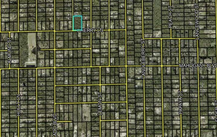 1143 CEDAR ST, BUNNELL, FL, 32110