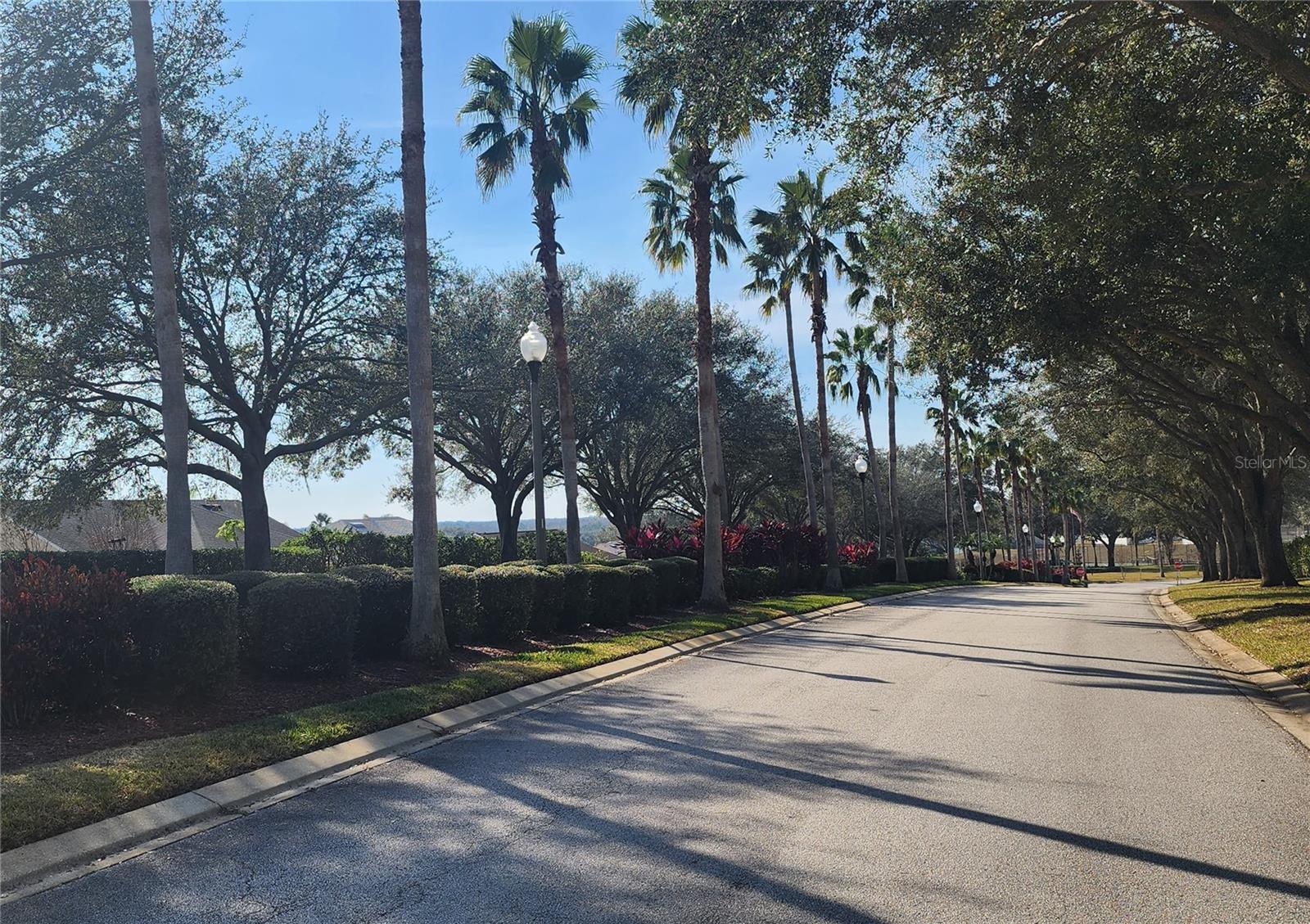 1005 CORVINA DR, DAVENPORT, FL, 33897
