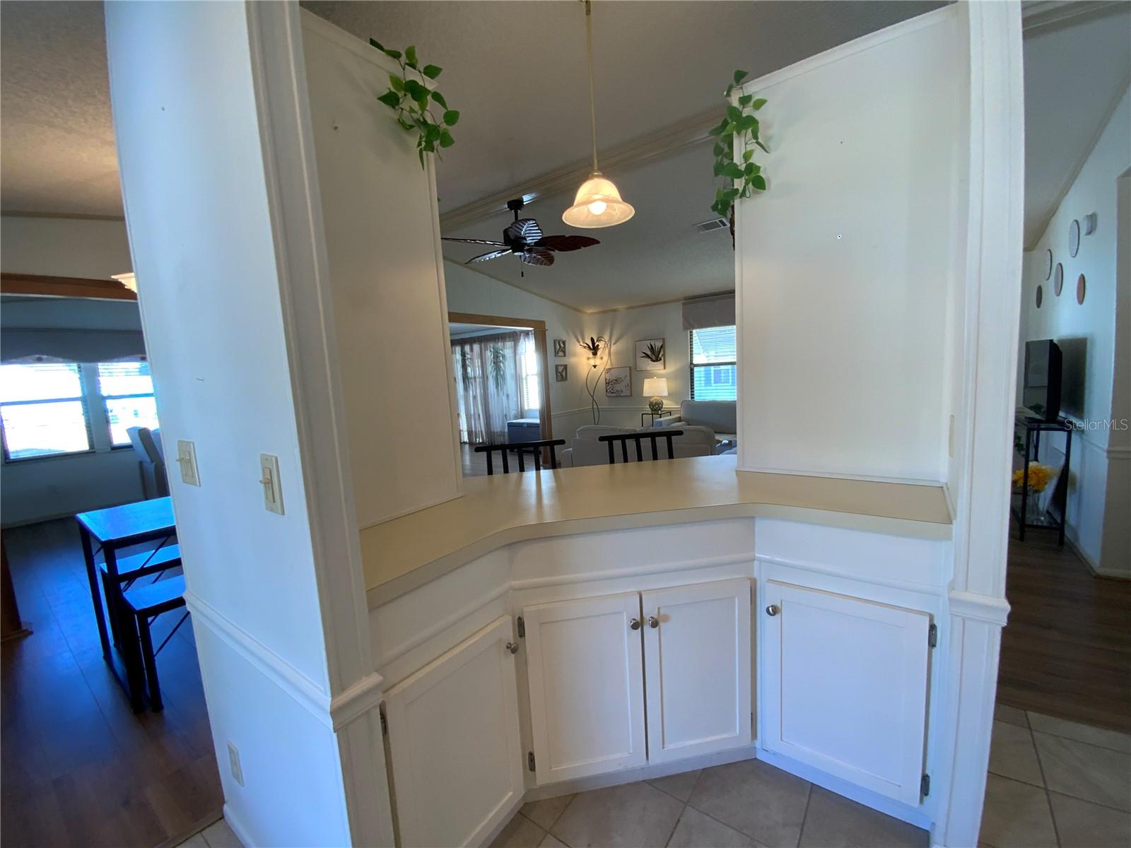 1802 PETUNIA LN, THE VILLAGES, FL, 32159
