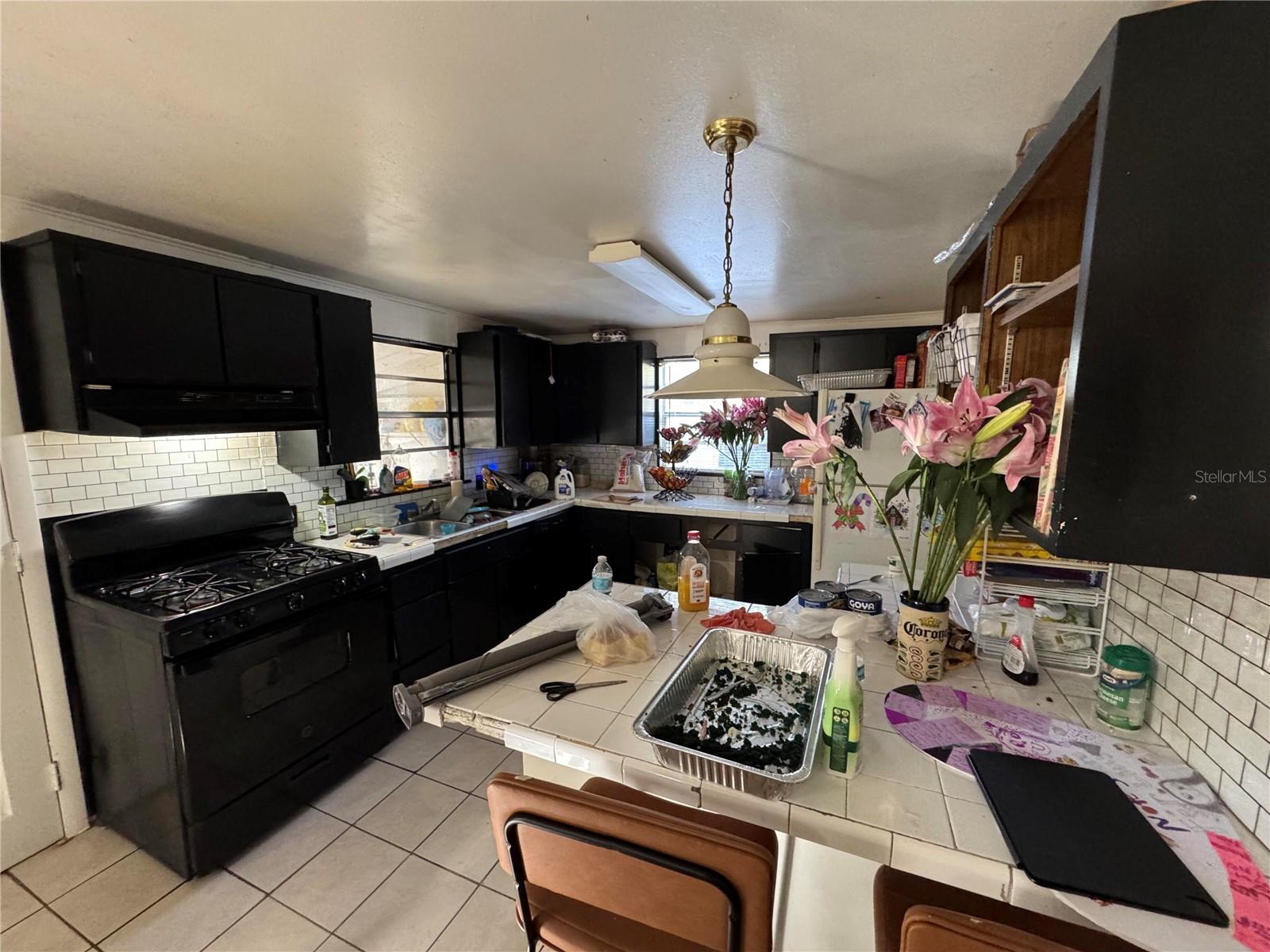 3614 GRICE ST, APOPKA, FL, 32703