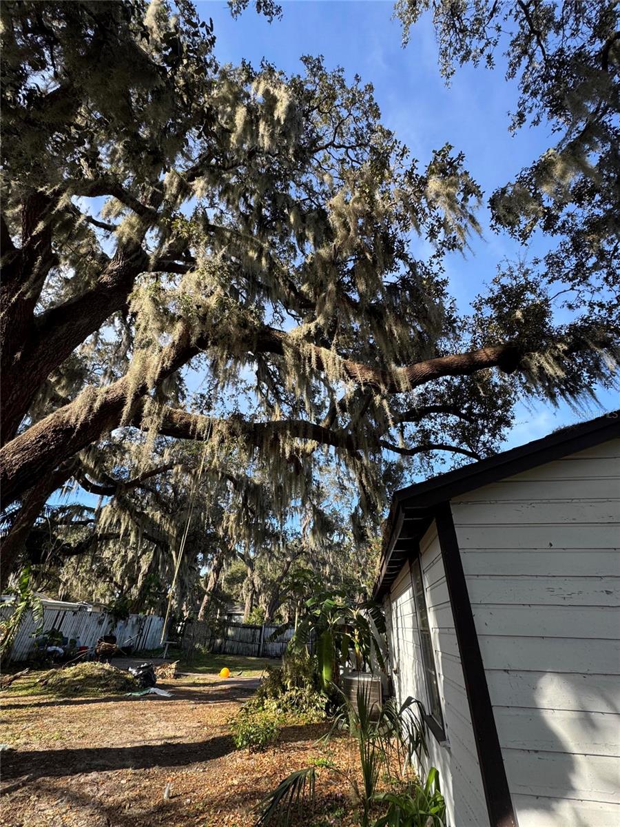 3614 GRICE ST, APOPKA, FL, 32703