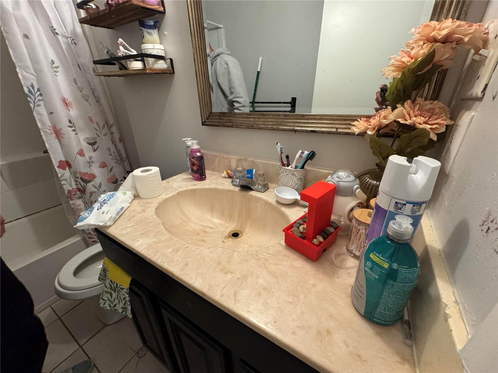 3614 GRICE ST, APOPKA, FL, 32703