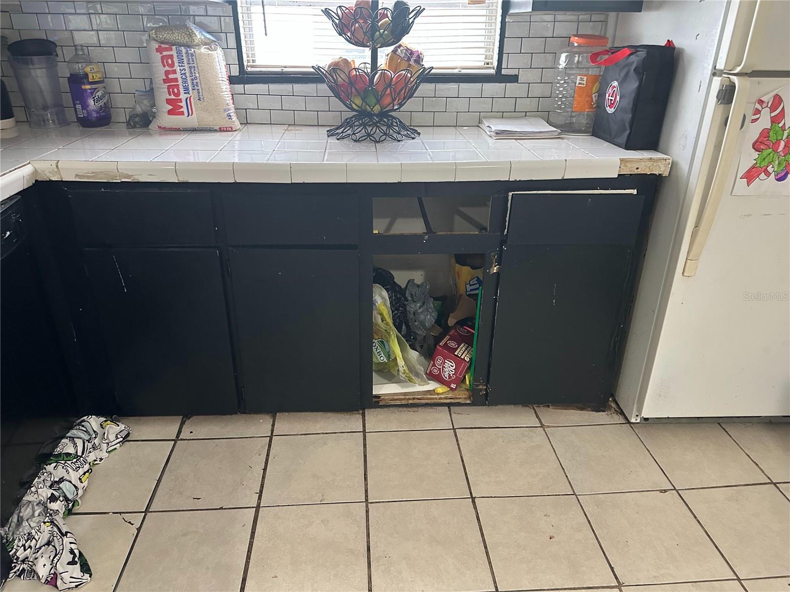 3614 GRICE ST, APOPKA, FL, 32703