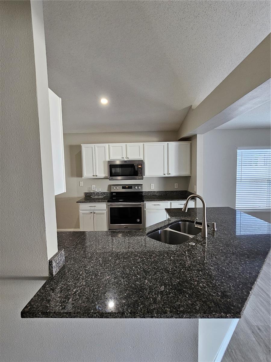 10459 FLY FISHING ST, RIVERVIEW, FL, 33569