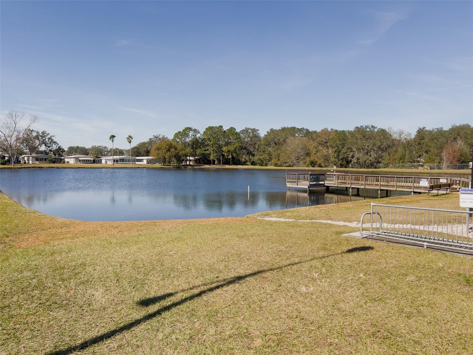 3020 MOSS HILL ST, WESLEY CHAPEL, FL, 33543