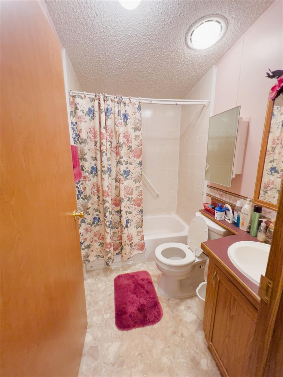 3020 MOSS HILL ST, WESLEY CHAPEL, FL, 33543