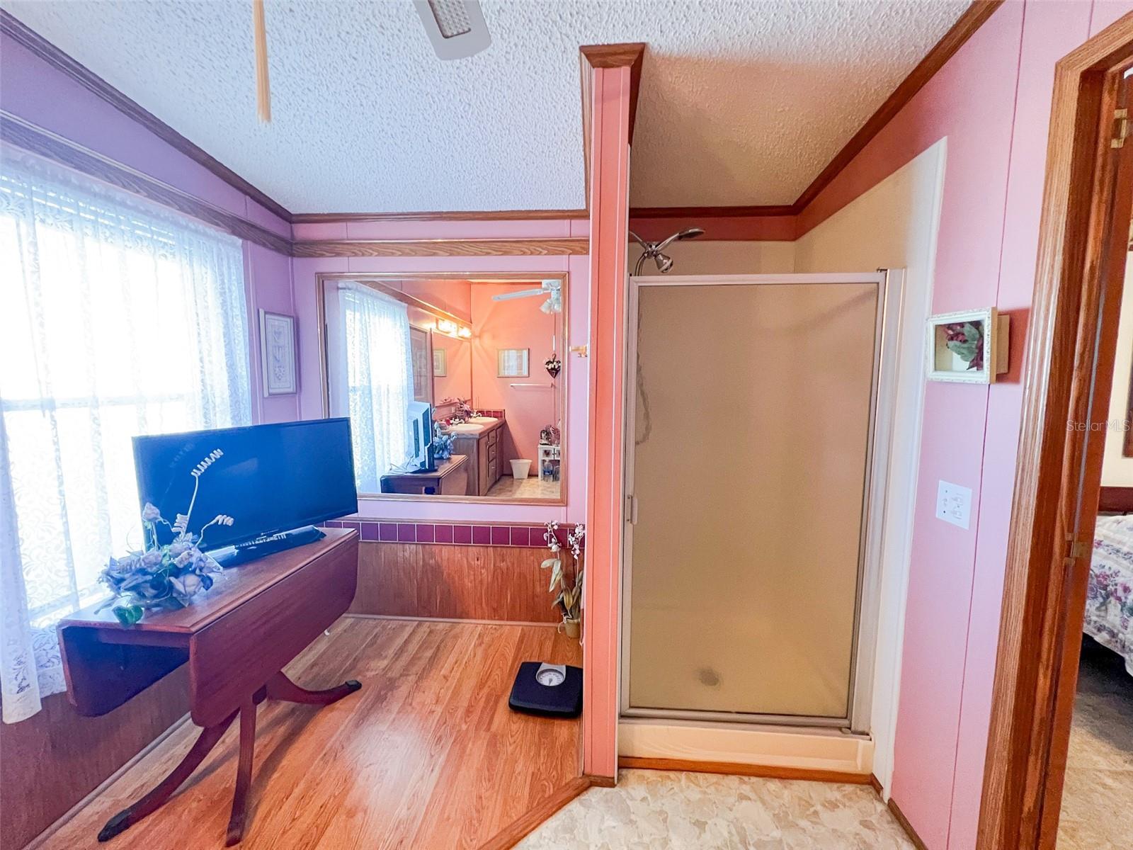 3020 MOSS HILL ST, WESLEY CHAPEL, FL, 33543