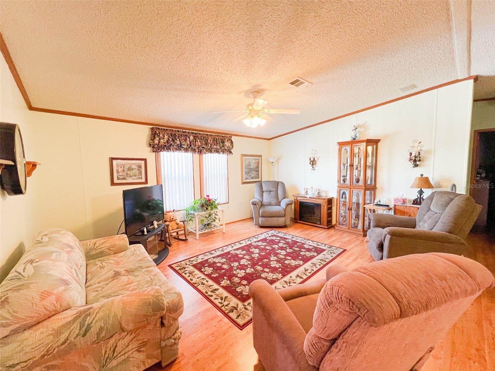 3020 MOSS HILL ST, WESLEY CHAPEL, FL, 33543