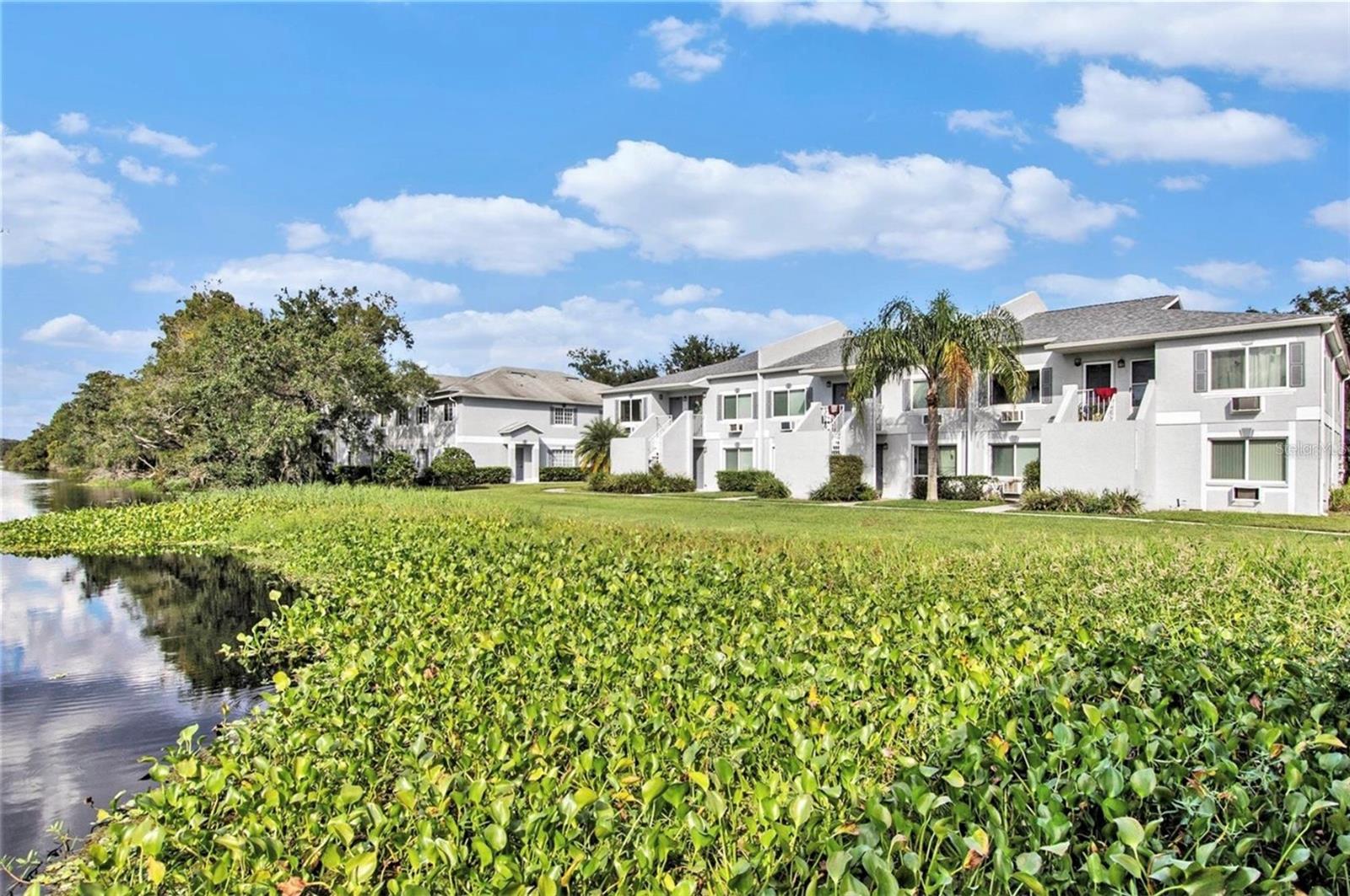 4128 DOLPHIN DR, TAMPA, FL, 33617
