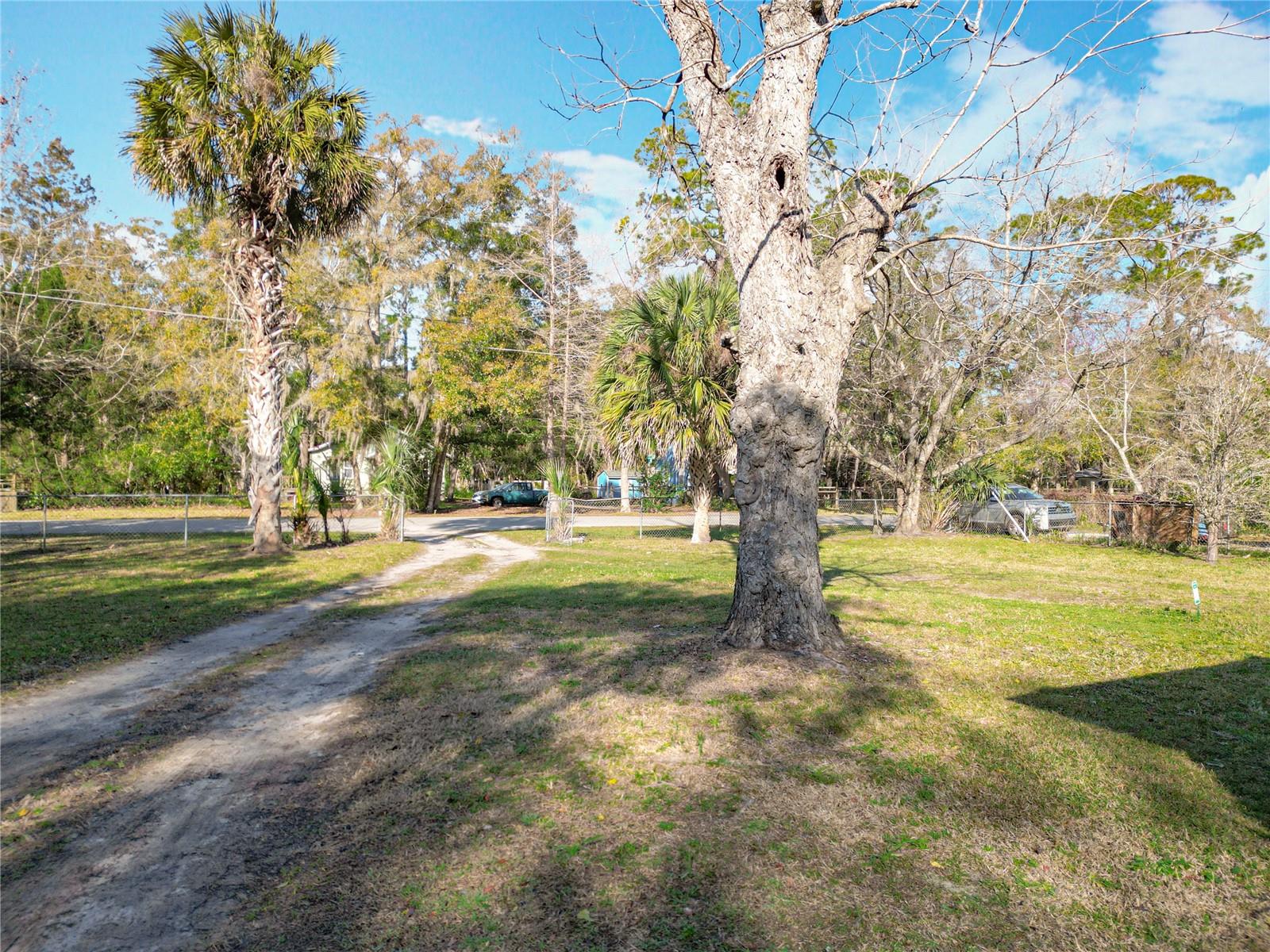 411 NE 10TH ST, GAINESVILLE, FL, 32601