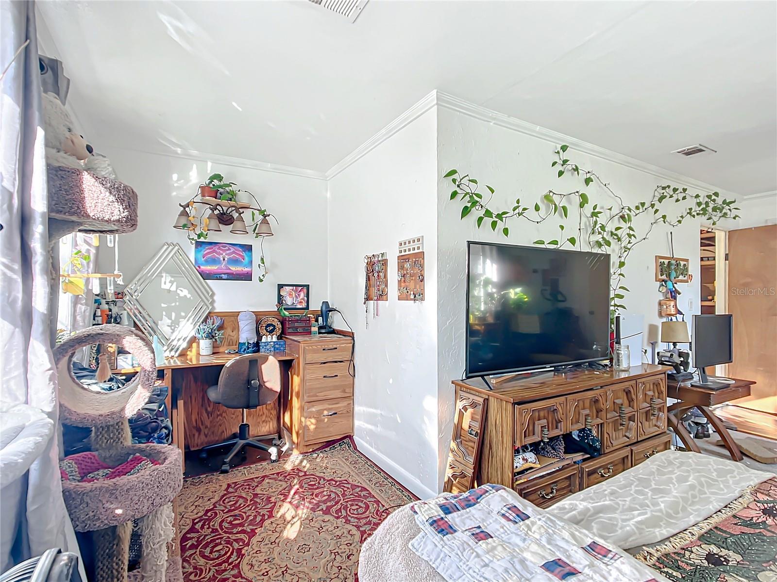 411 NE 10TH ST, GAINESVILLE, FL, 32601