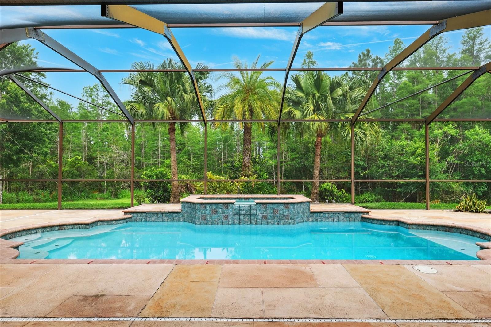 20200 LACE CASCADE RD, LAND O LAKES, FL, 34637