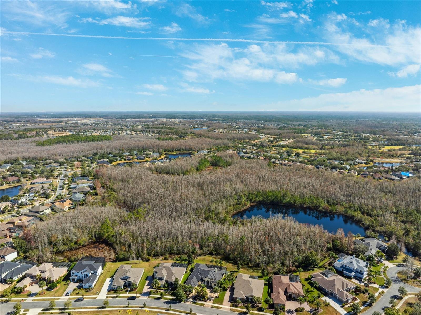 20200 LACE CASCADE RD, LAND O LAKES, FL, 34637