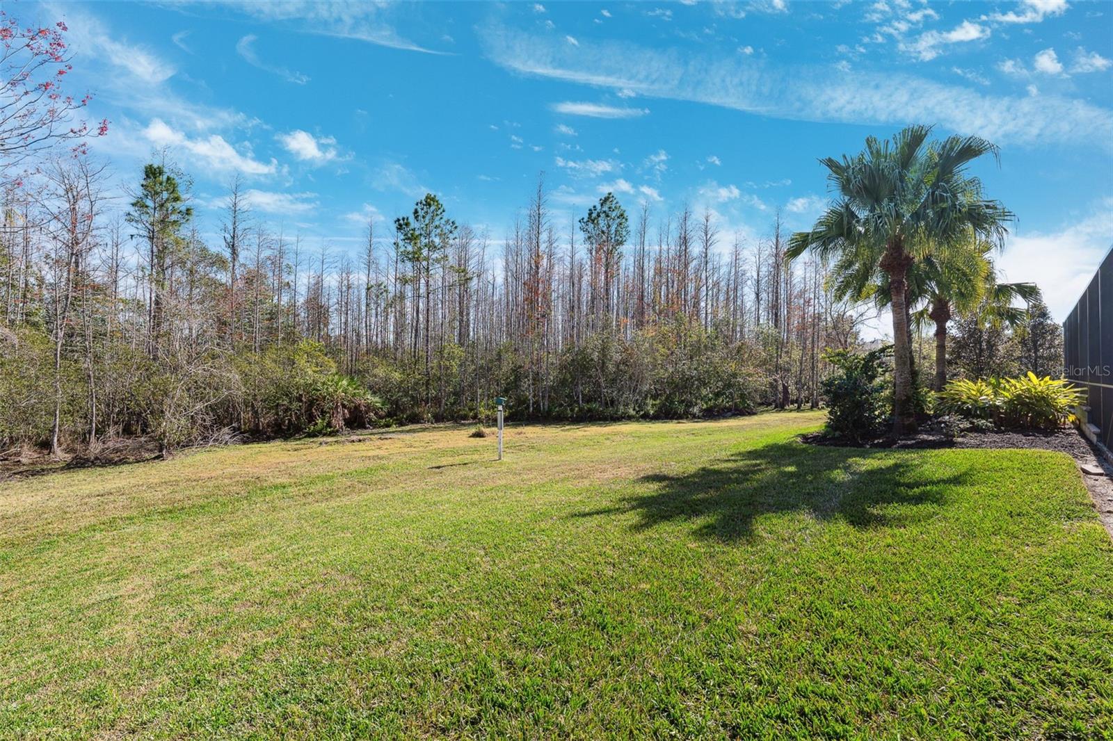20200 LACE CASCADE RD, LAND O LAKES, FL, 34637
