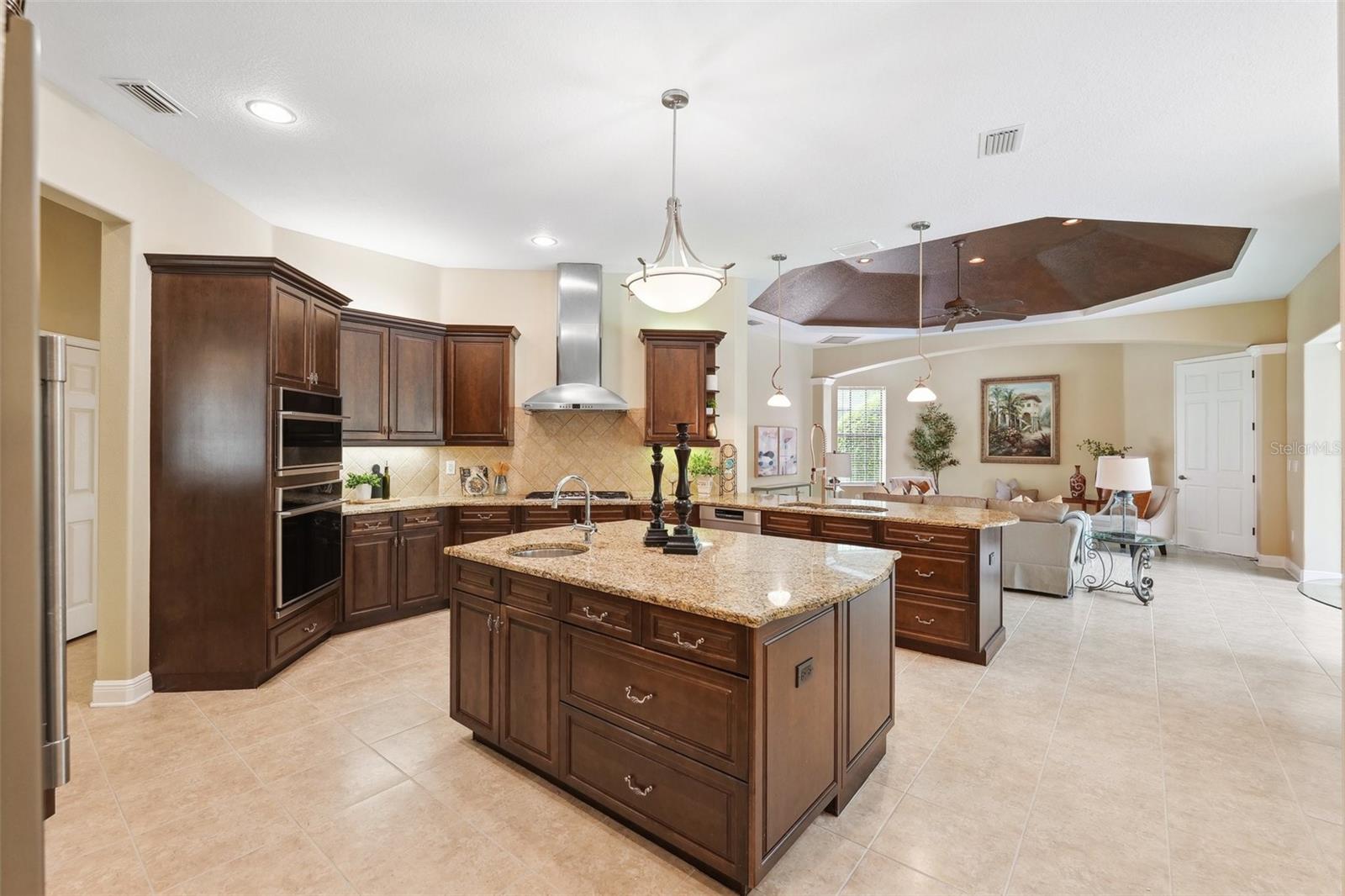 20200 LACE CASCADE RD, LAND O LAKES, FL, 34637
