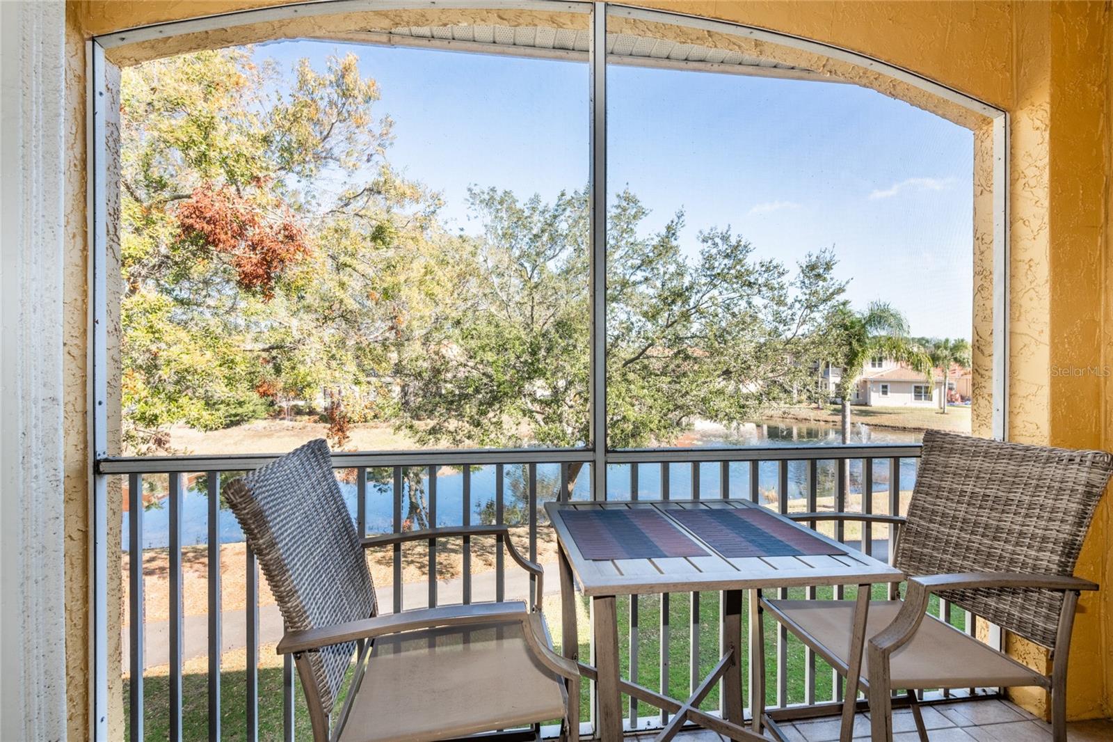6816 DALI AVE #E206, LAND O LAKES, FL, 34637