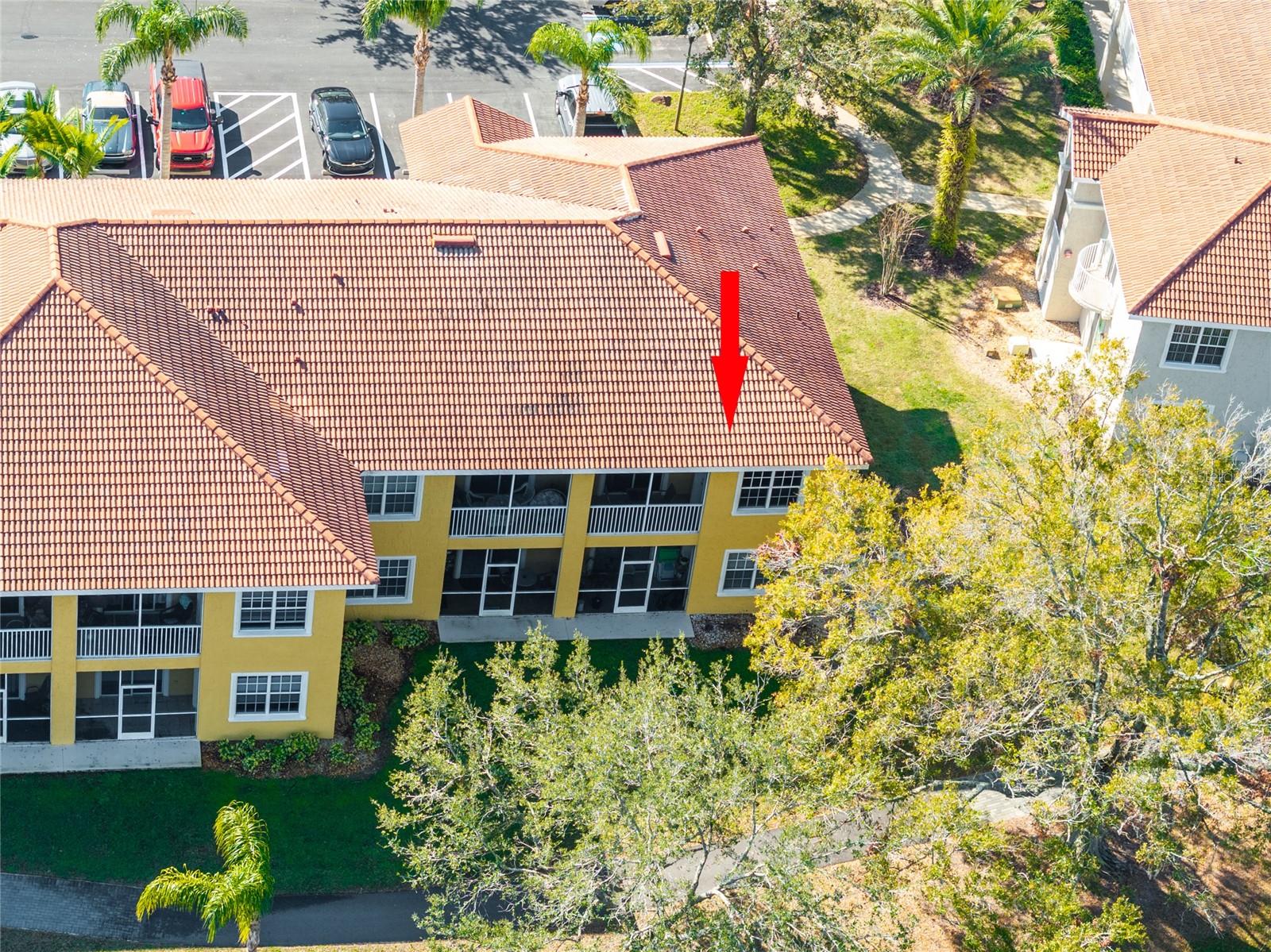 6816 DALI AVE #E206, LAND O LAKES, FL, 34637