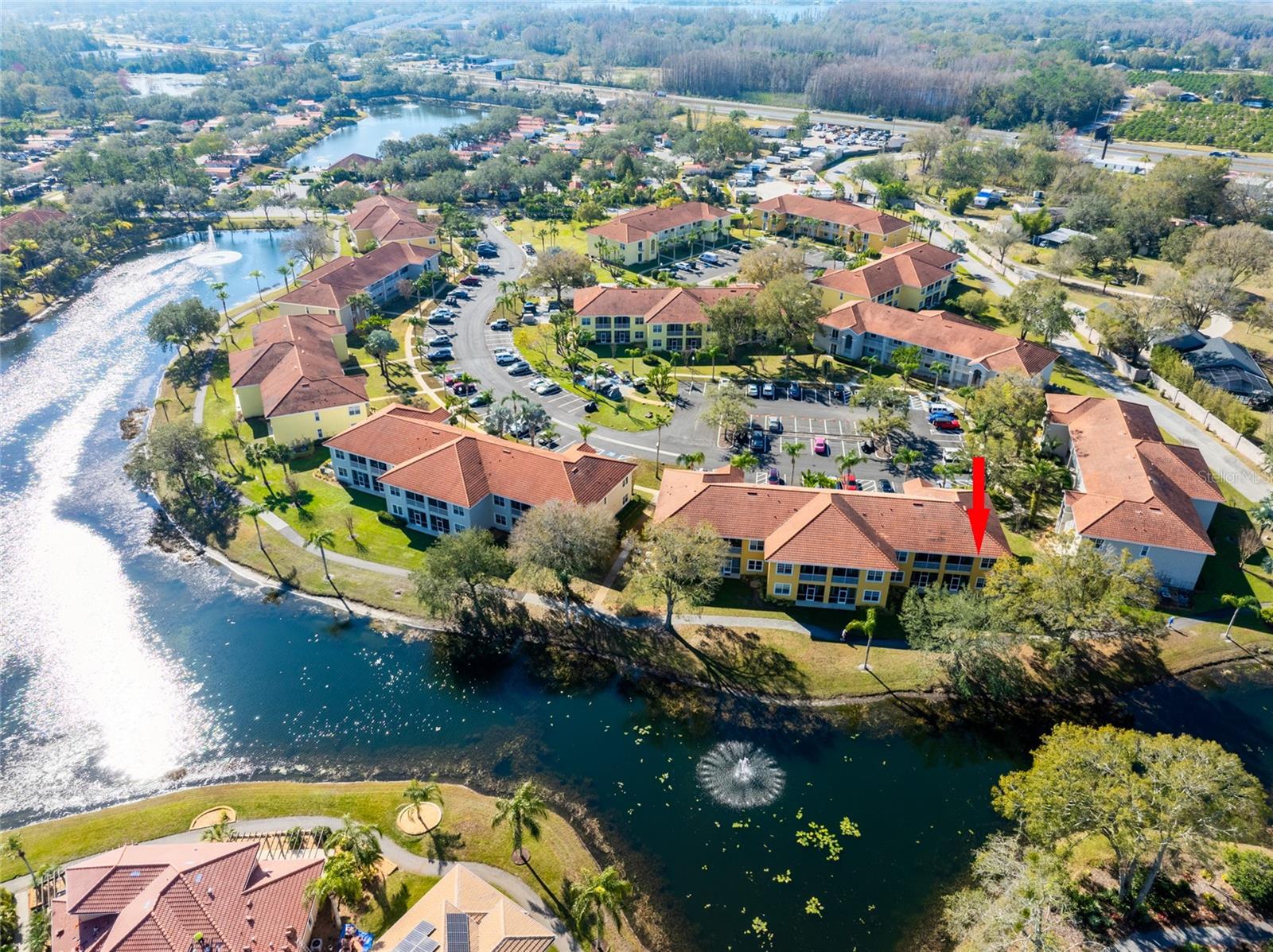 6816 DALI AVE #E206, LAND O LAKES, FL, 34637