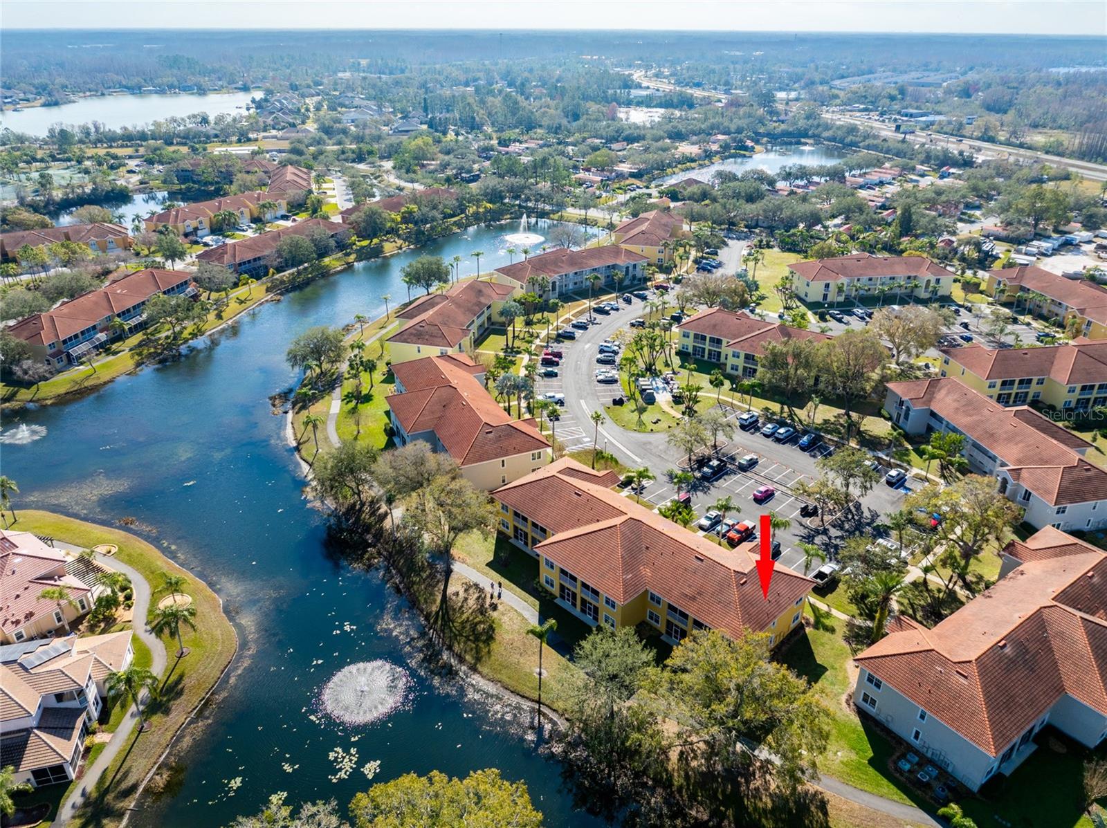6816 DALI AVE #E206, LAND O LAKES, FL, 34637