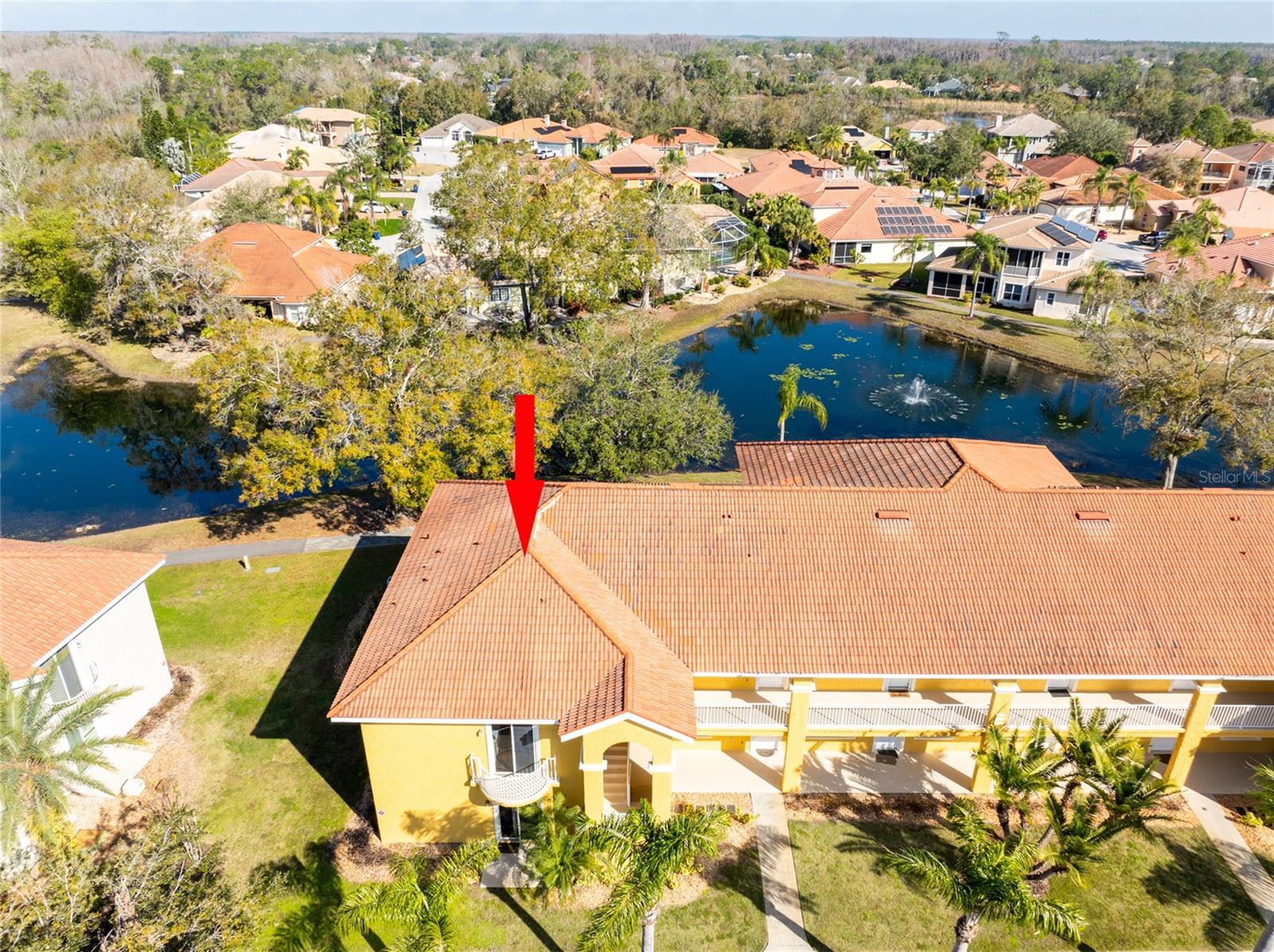 6816 DALI AVE #E206, LAND O LAKES, FL, 34637