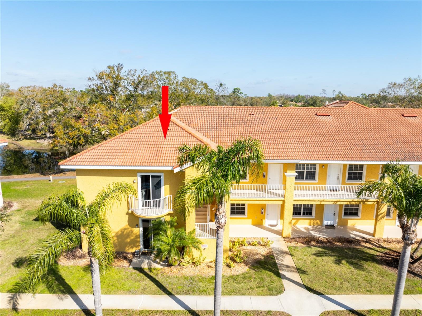6816 DALI AVE #E206, LAND O LAKES, FL, 34637