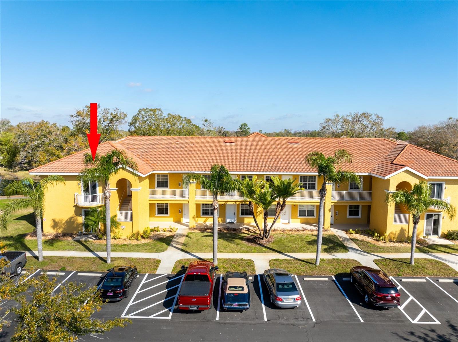 6816 DALI AVE #E206, LAND O LAKES, FL, 34637