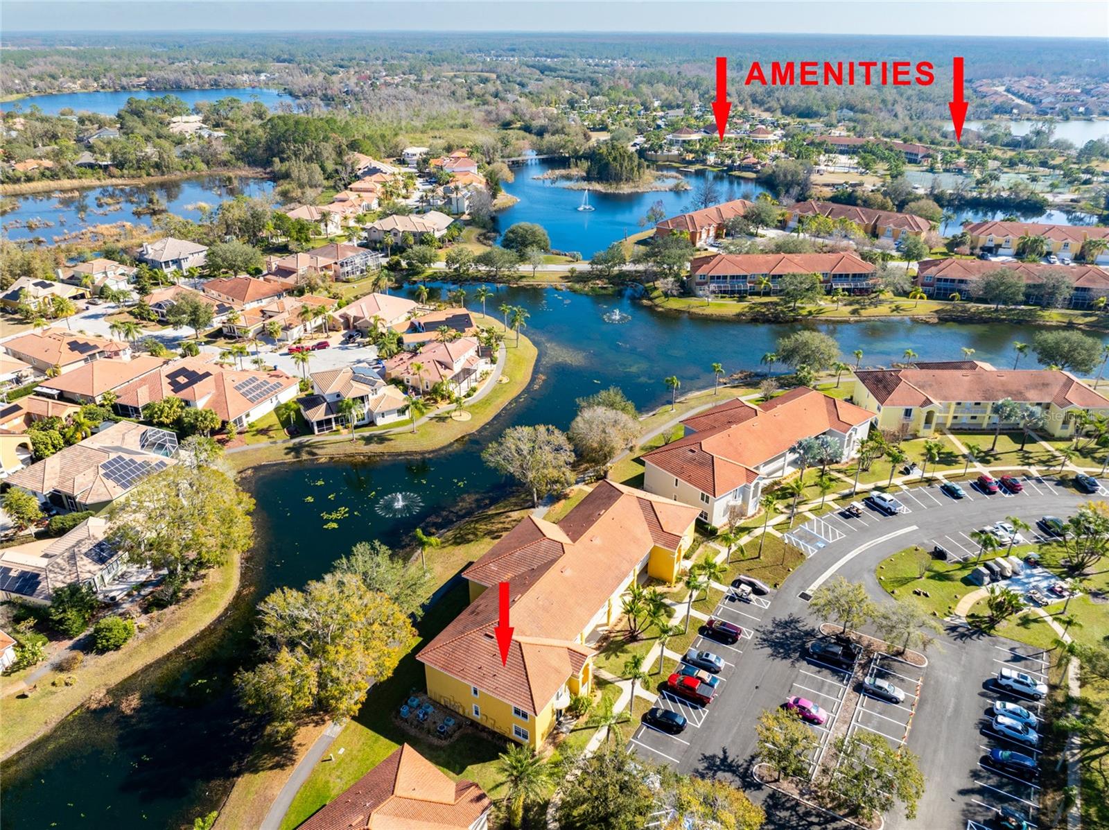 6816 DALI AVE #E206, LAND O LAKES, FL, 34637