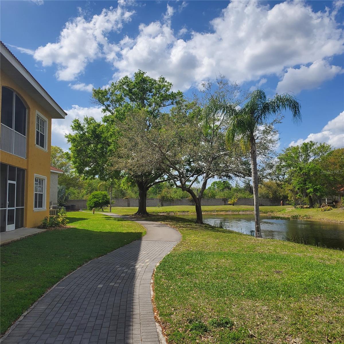 6816 DALI AVE #E206, LAND O LAKES, FL, 34637
