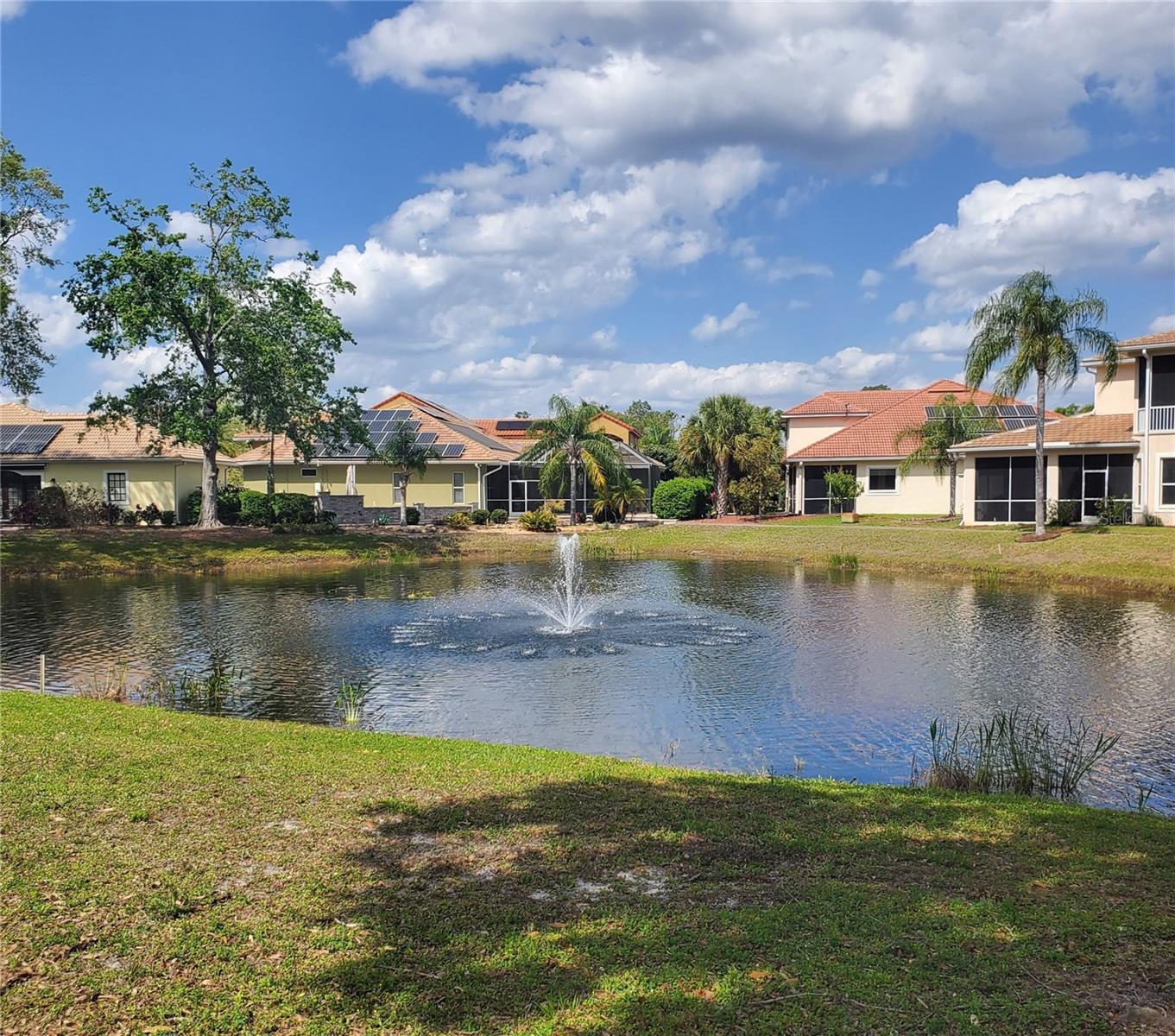 6816 DALI AVE #E206, LAND O LAKES, FL, 34637