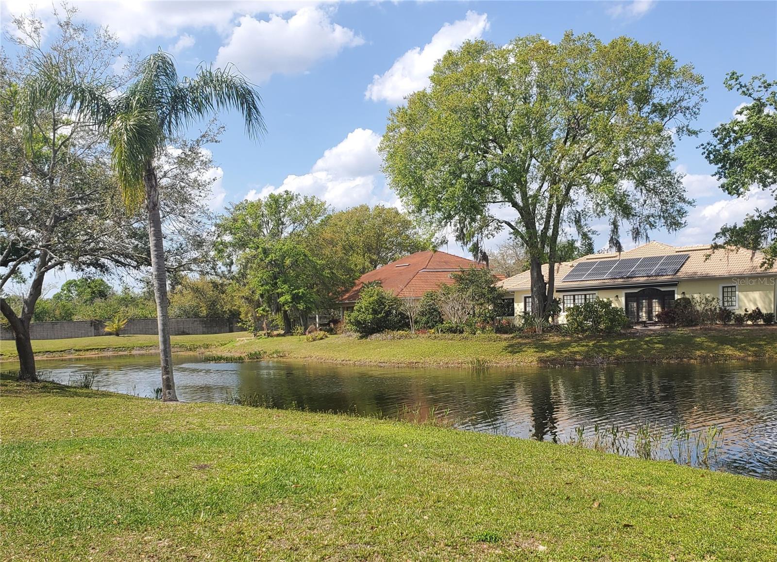 6816 DALI AVE #E206, LAND O LAKES, FL, 34637