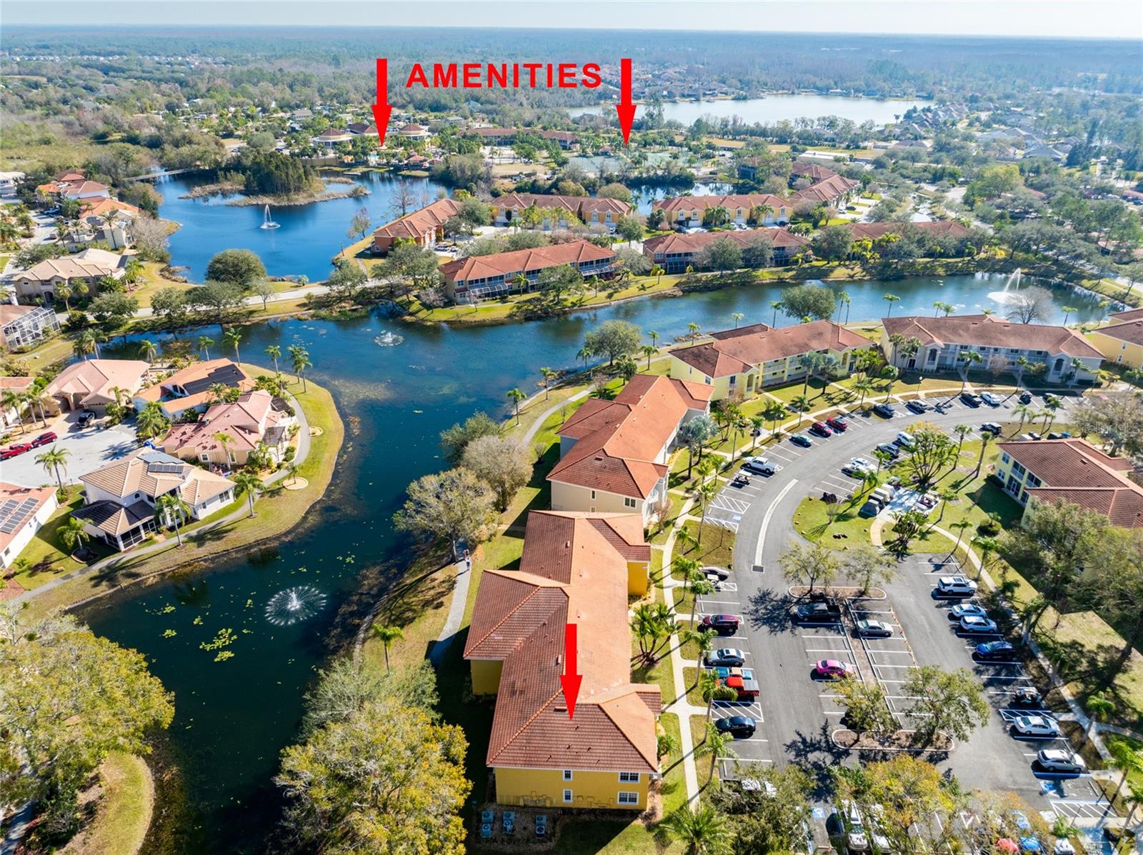 6816 DALI AVE #E206, LAND O LAKES, FL, 34637