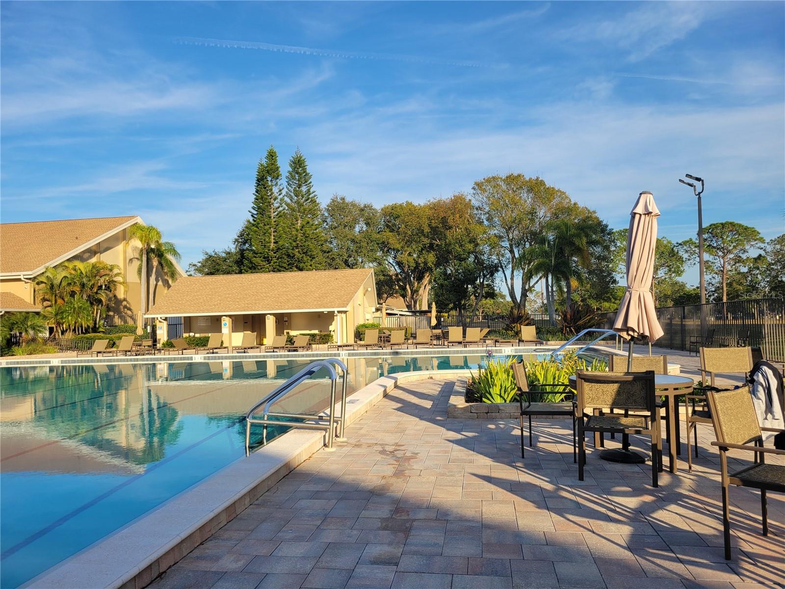 1000 DUNROBIN DR #C, PALM HARBOR, FL, 34684