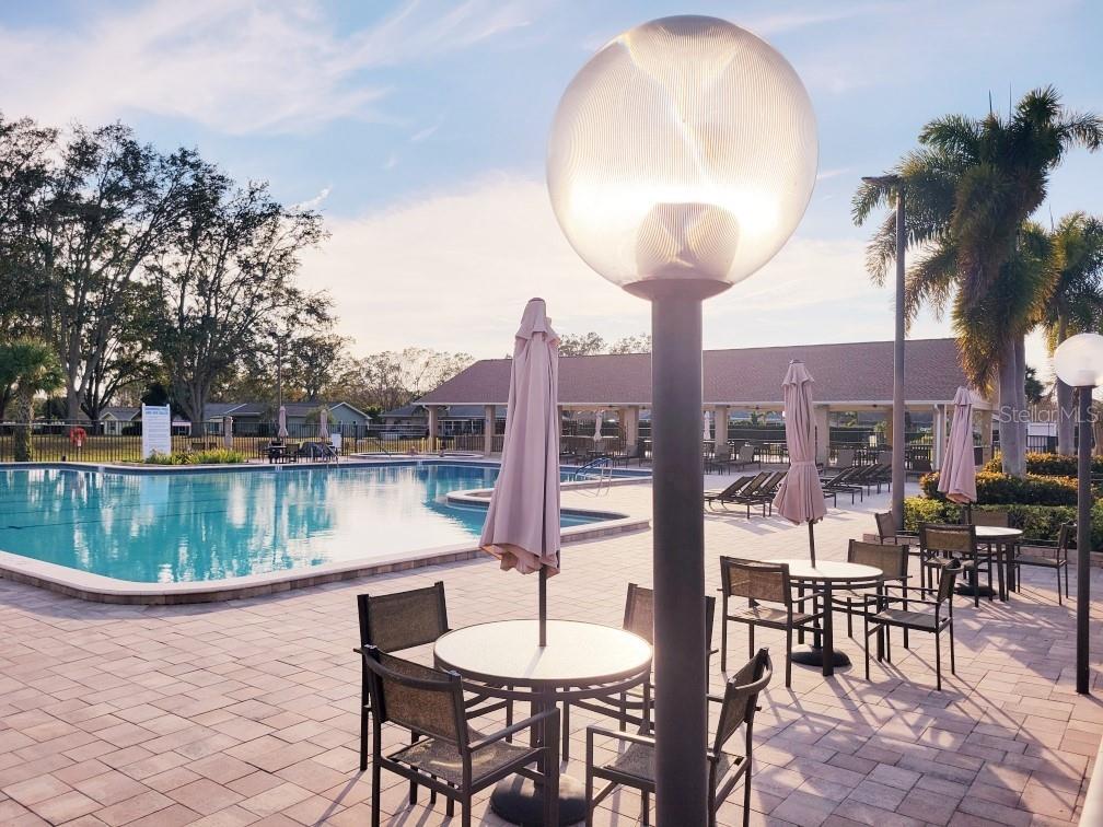 1000 DUNROBIN DR #C, PALM HARBOR, FL, 34684