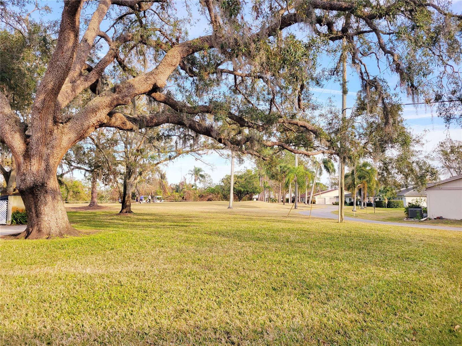 1000 DUNROBIN DR #C, PALM HARBOR, FL, 34684