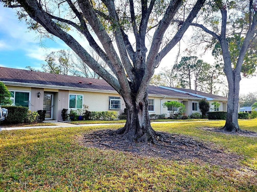 1000 DUNROBIN DR #C, PALM HARBOR, FL, 34684