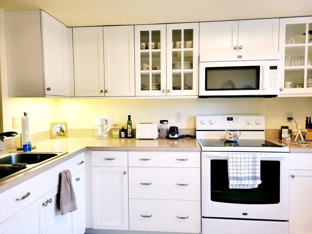 1000 DUNROBIN DR #C, PALM HARBOR, FL, 34684