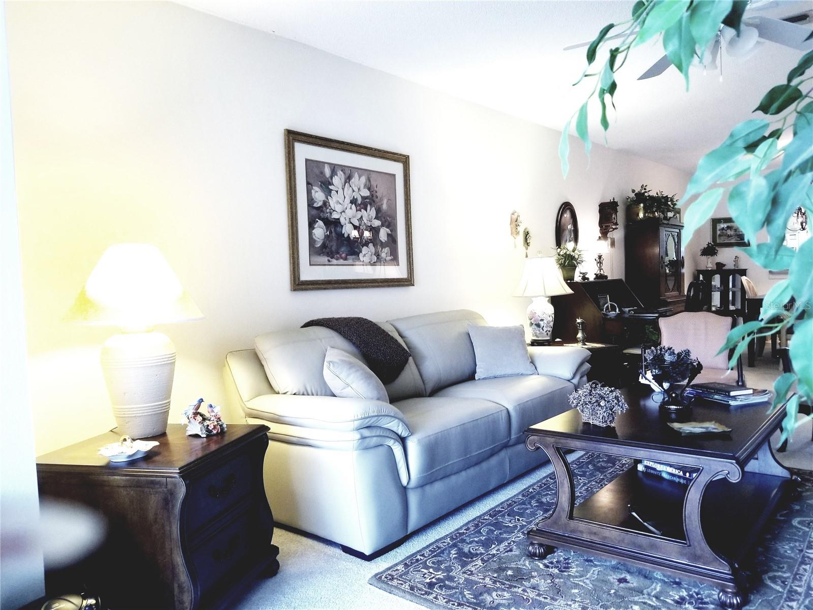 1000 DUNROBIN DR #C, PALM HARBOR, FL, 34684