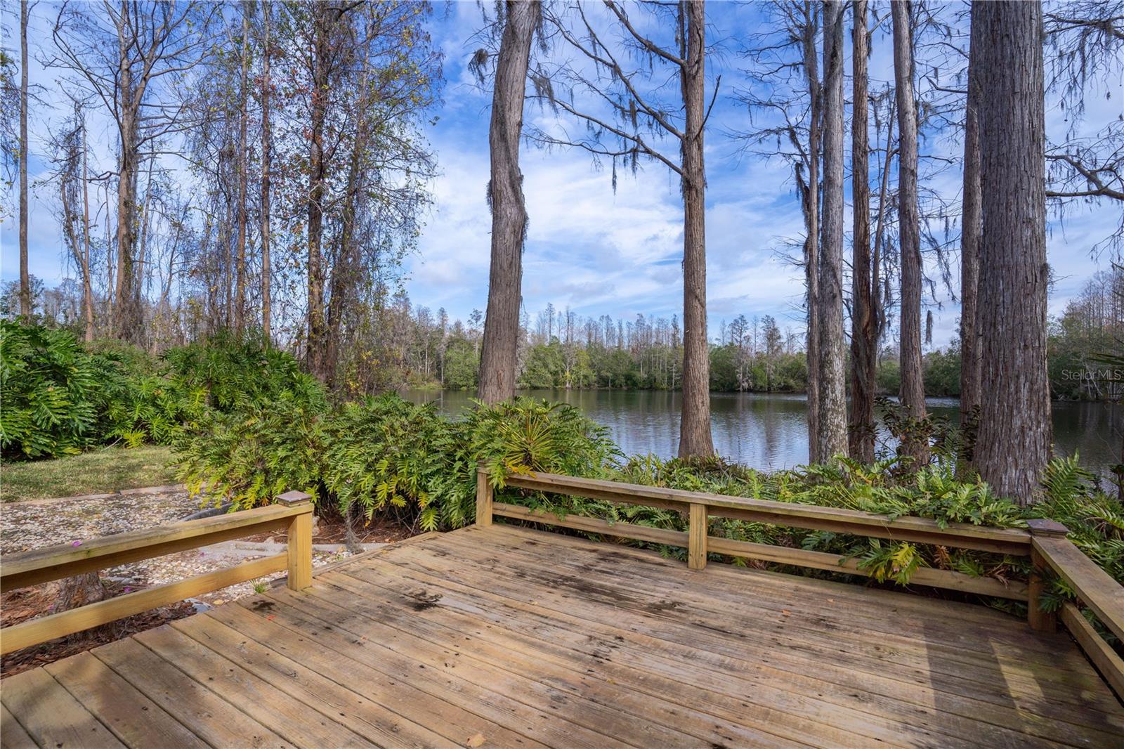 18809 CHAVILLE RD, LUTZ, FL, 33558