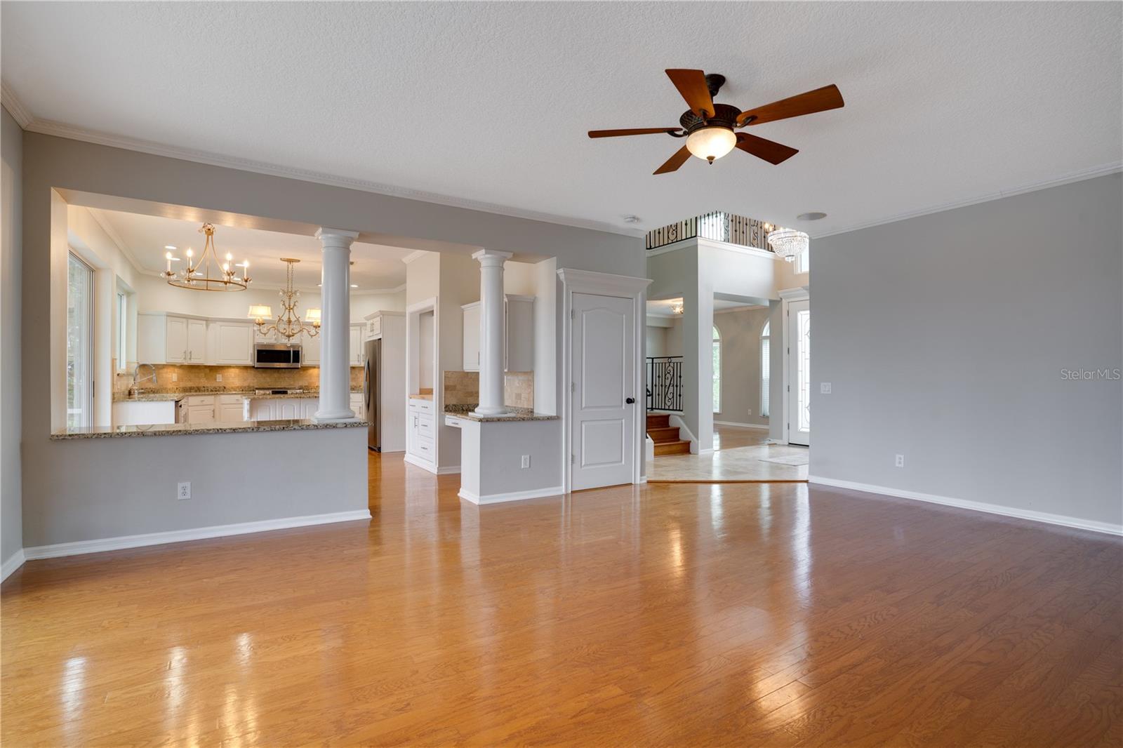 18809 CHAVILLE RD, LUTZ, FL, 33558