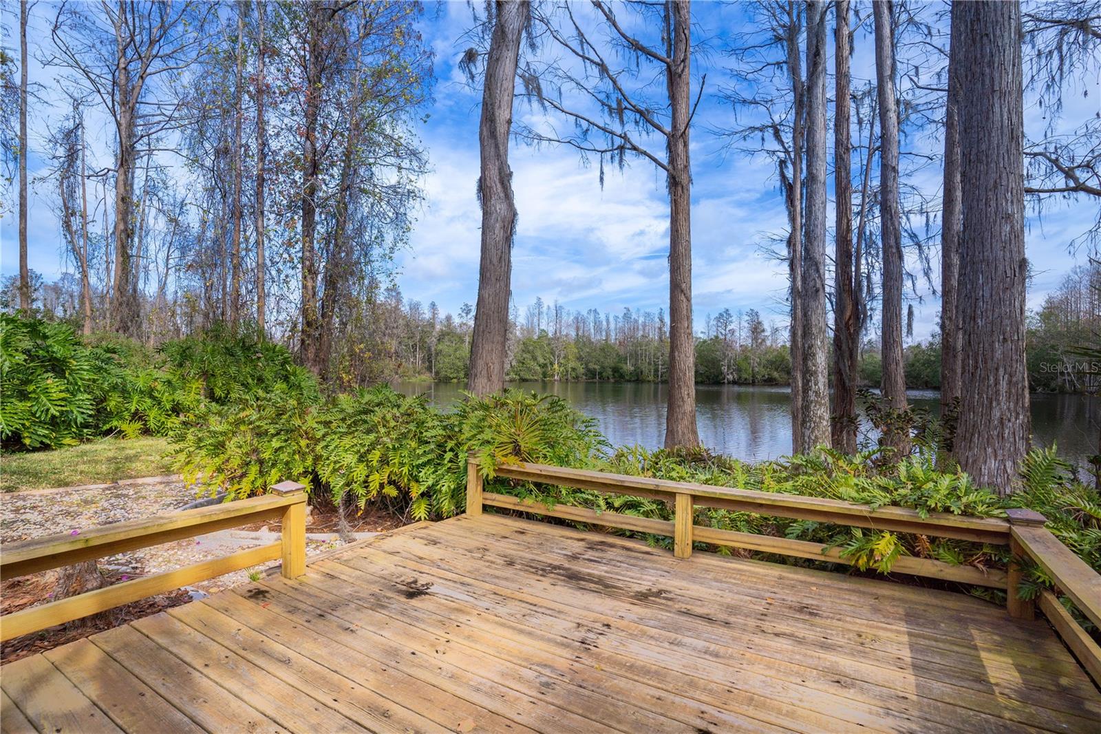 18809 CHAVILLE RD, LUTZ, FL, 33558