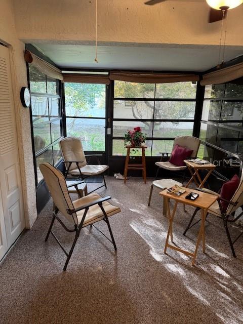 7635 BLOOMINGDALE DR, NEW PORT RICHEY, FL, 34654